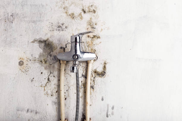 Best Mold Remediation for Schools in West Richland, WA